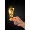 LED BULB 49068/05/62