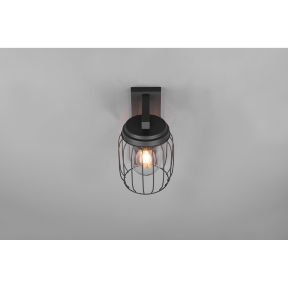 lampa TUELA 210869142 Trio | Sklep z lampami lampa TUELA 210869142 Trio | Sklep z lampami