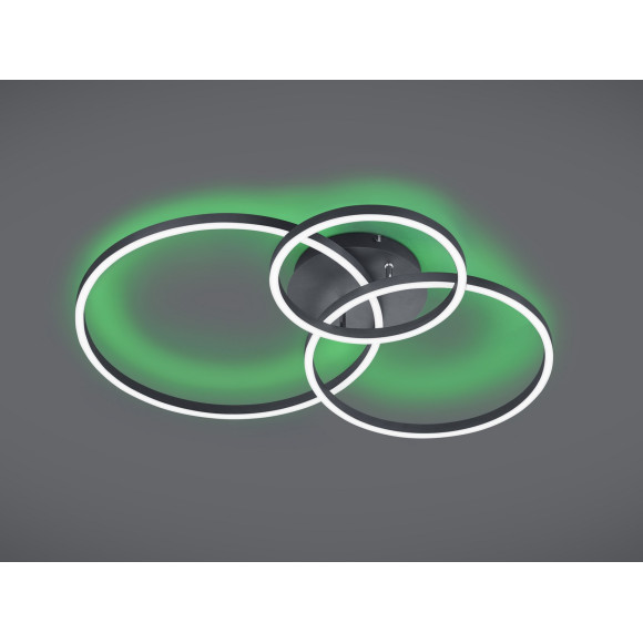 lampa sufitowa WINONA 670810632 Trio | Sklep z lampami