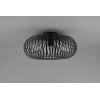 lampa sufitowa JOHANN 606900132 Trio | Sklep z lampami