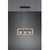 lampa wisząca AGRA 313800332 Trio | Sklep z lampami