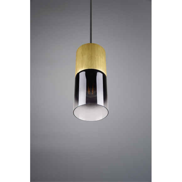 lampa wisząca ROBIN 310600154 Trio | Sklep z lampami lampa wisząca ROBIN 310600154 Trio | Sklep z lampami