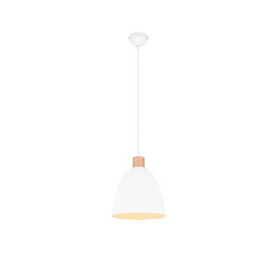 lampa wisząca JAGGER R30681031 RL | Sklep z lampami