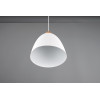 lampa wisząca JAGGER R30681031 RL | Sklep z lampami