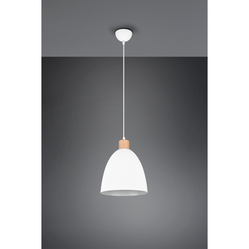 lampa wisząca JAGGER R30681031 RL | Sklep z lampami
