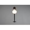 lampa GIADA 283400132 Trio | Sklep z lampami