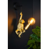 EXTRAVAGANZA CHIMP 10202/01/30