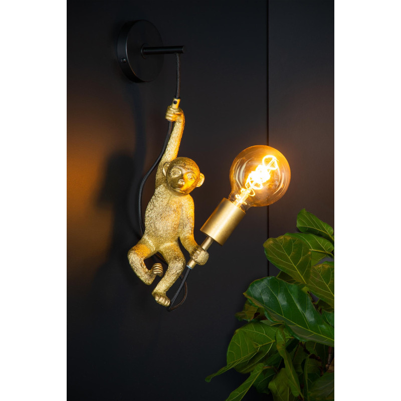 EXTRAVAGANZA CHIMP 10202/01/30