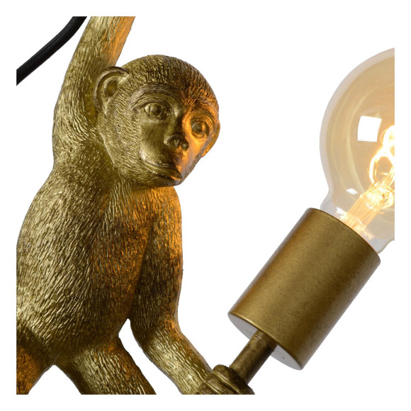 EXTRAVAGANZA CHIMP 10202/01/30