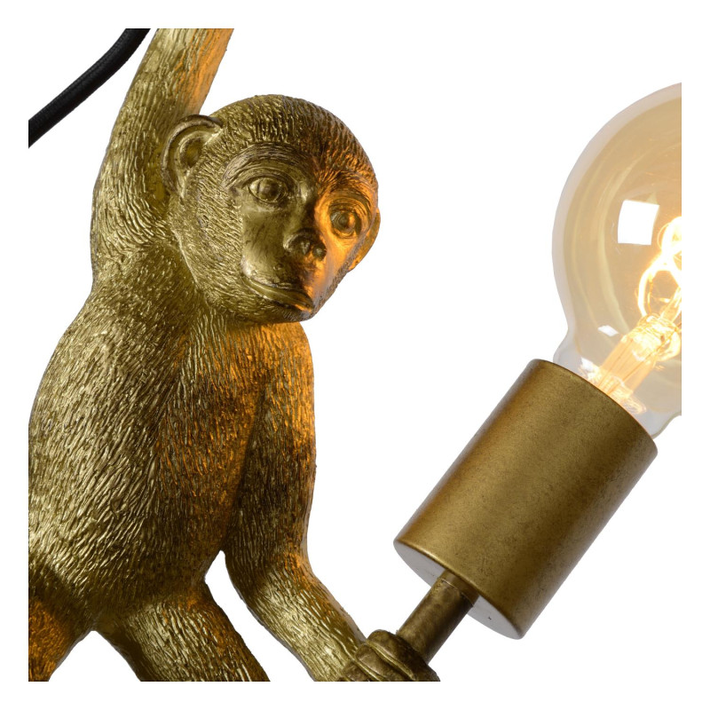 EXTRAVAGANZA CHIMP 10202/01/30