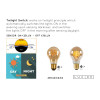 LED BULB 49042/04/62