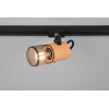 lampa DUOLINE 78430132 Trio | Sklep z lampami