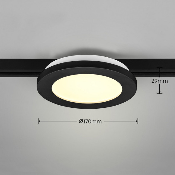DUOLINE 76921032
