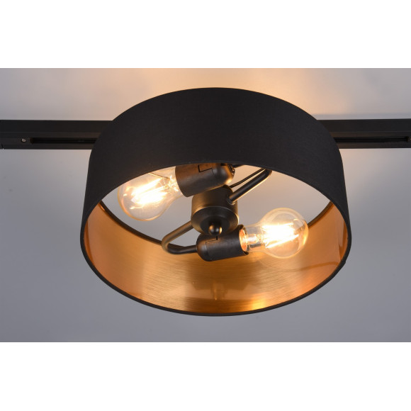 lampa sufitowa DUOLINE 76820280 Trio | Sklep z lampami