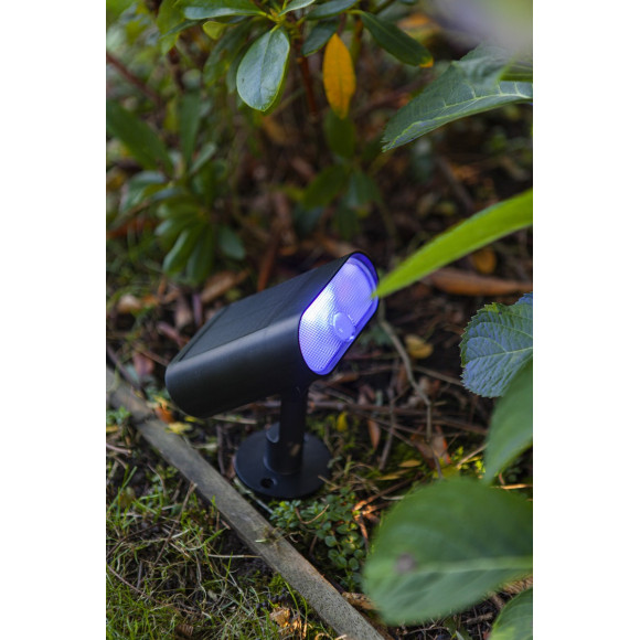 lampa GINBO 6938405330 nan | Sklep z lampami lampa GINBO 6938405330 nan | Sklep z lampami