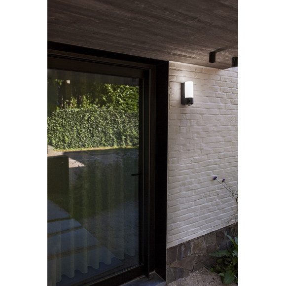 POLLUX 5196004118