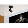 CARO 13955/01/30