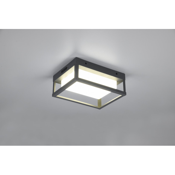 kinkiet WITHAM 277860142 Trio | Sklep z lampami kinkiet WITHAM 277860142 Trio | Sklep z lampami