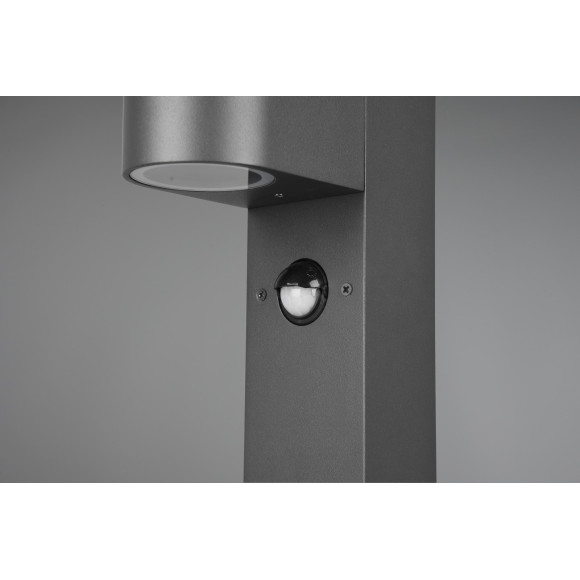 lampa ROYA 414260142 Trio | Sklep z lampami lampa ROYA 414260142 Trio | Sklep z lampami