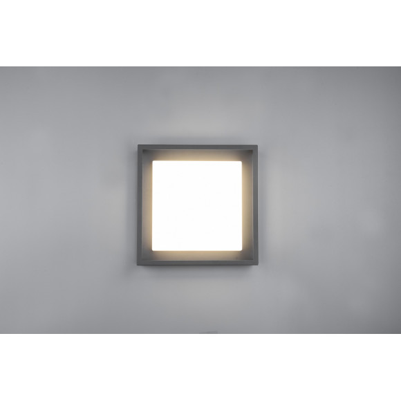 plafon WITHAM 677860142 Trio | Sklep z lampami plafon WITHAM 677860142 Trio | Sklep z lampami