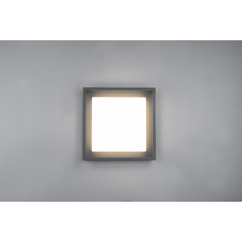 plafon WITHAM 677860142 Trio | Sklep z lampami plafon WITHAM 677860142 Trio | Sklep z lampami