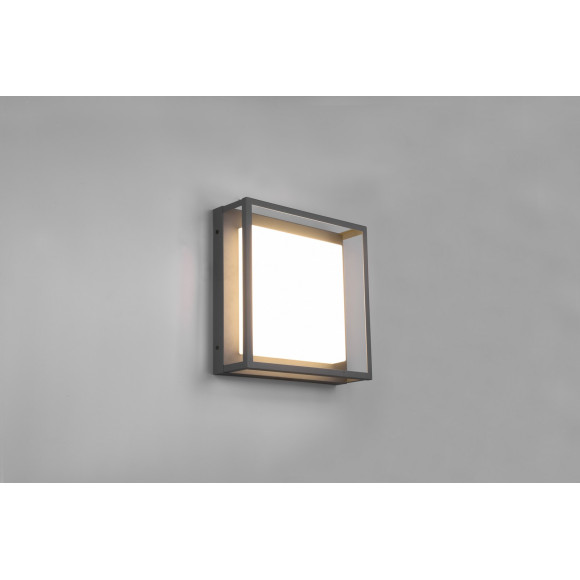 plafon WITHAM 677860142 Trio | Sklep z lampami plafon WITHAM 677860142 Trio | Sklep z lampami