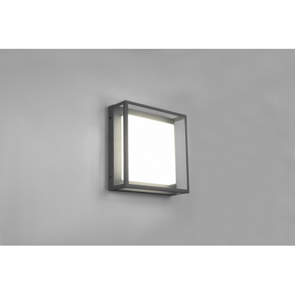 plafon WITHAM 677860142 Trio | Sklep z lampami plafon WITHAM 677860142 Trio | Sklep z lampami