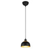 lampa wisząca PUNCH R30811032 RL | Sklep z lampami lampa wisząca PUNCH R30811032 RL | Sklep z lampami