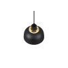 lampa wisząca PUNCH R30811032 RL | Sklep z lampami lampa wisząca PUNCH R30811032 RL | Sklep z lampami