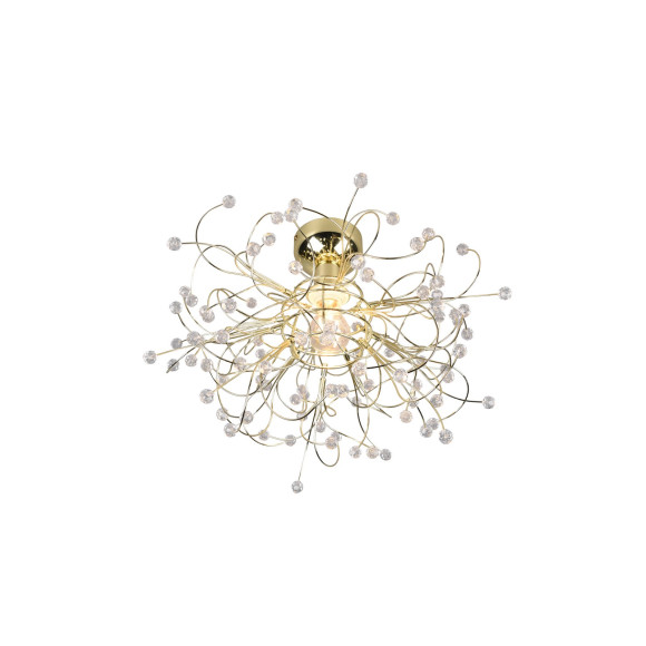 GLORIA R61311003