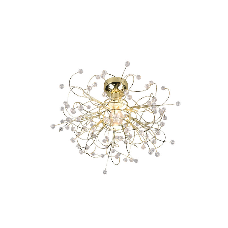 GLORIA R61311003