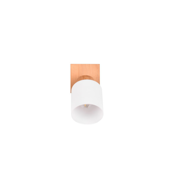 ASSAM R81111030 ASSAM R81111030