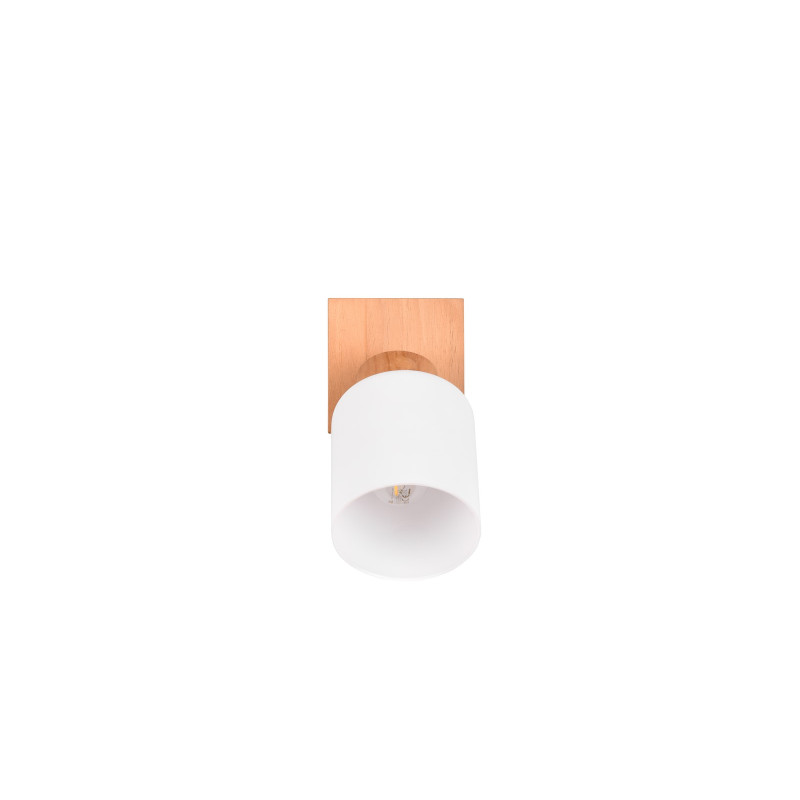 ASSAM R81111030