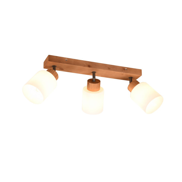 lampa sufitowa ASSAM R81113030 RL | Sklep z lampami lampa sufitowa ASSAM R81113030 RL | Sklep z lampami