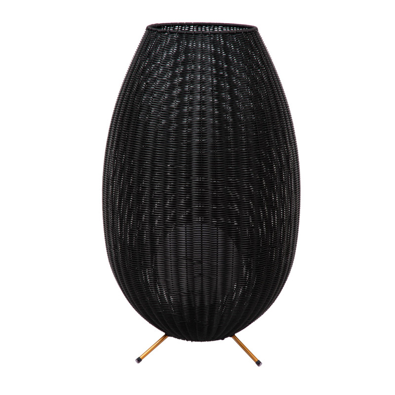 COLIN 03843/80/30