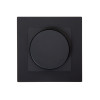 RECESSED WALL DIMMER NL 50000/00/30