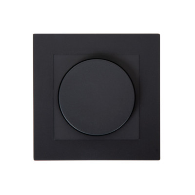 RECESSED WALL DIMMER NL 50000/00/30