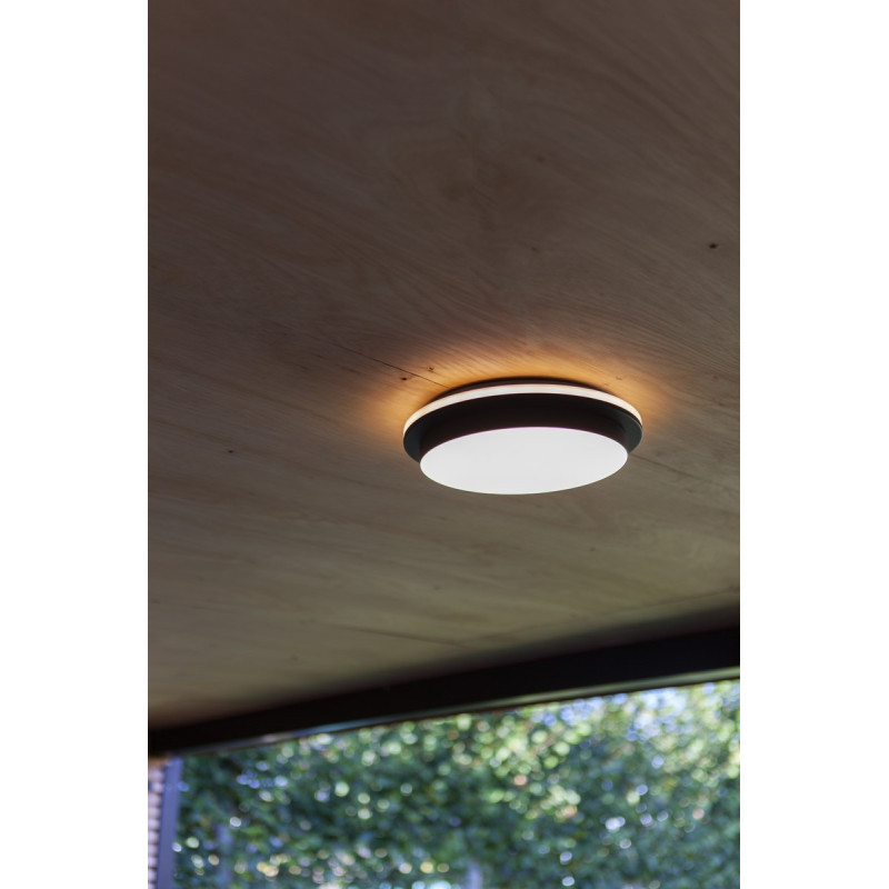 plafon GOLETA 5205801012 nan | Sklep z lampami plafon GOLETA 5205801012 nan | Sklep z lampami