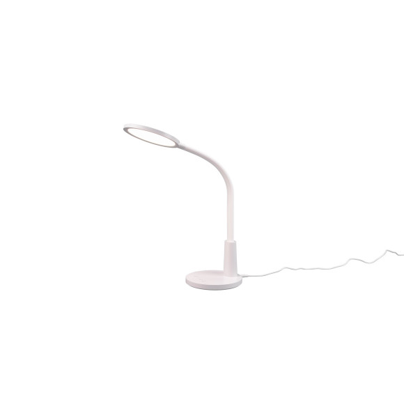 SALLY R52671101