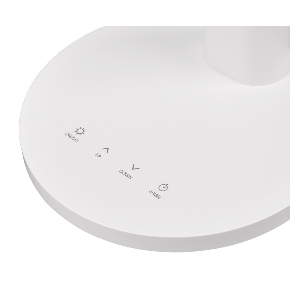 SALLY R52671101