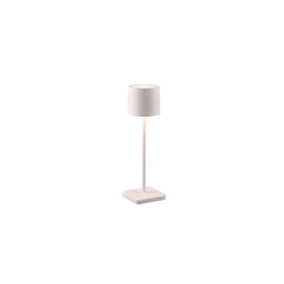 FERNANDEZ R54096131