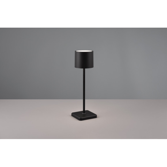 FERNANDEZ R54096132