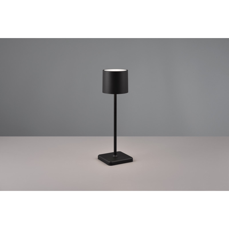 FERNANDEZ R54096132