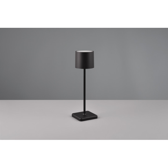 FERNANDEZ R54096132