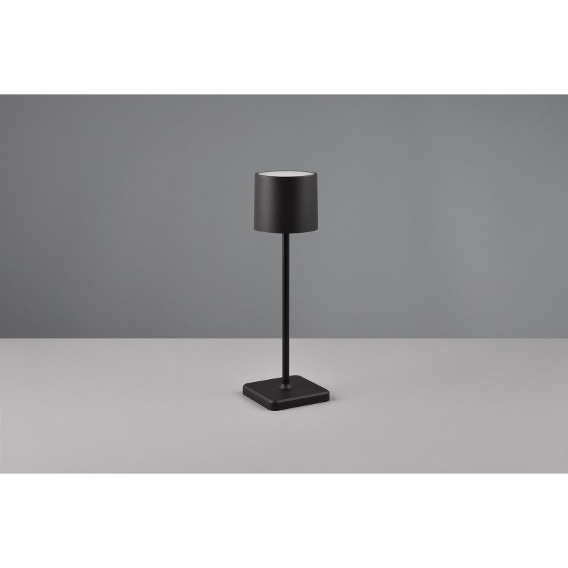 FERNANDEZ R54096132