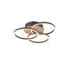 CIRCLE R62823135