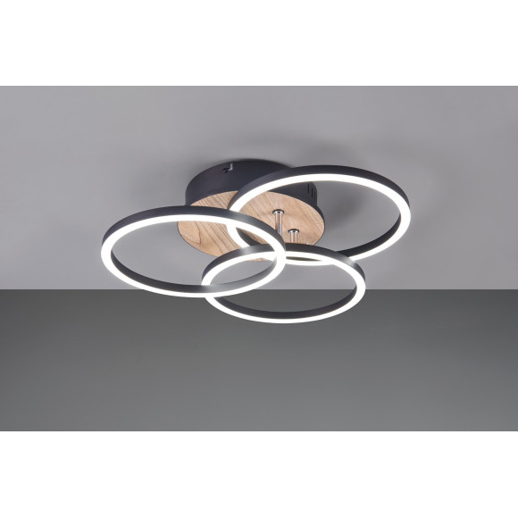 CIRCLE R62823135
