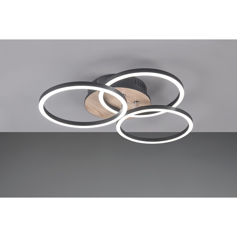 CIRCLE R62823135