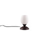 CUP II R59441024