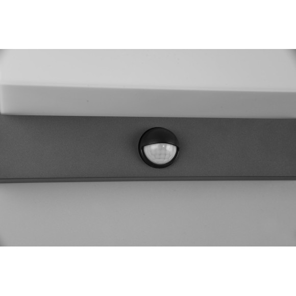 lampa NESTOS - CZUJNIK RUCHU 240969142 Trio | Sklep z lampami